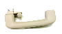 39899168 Interior Grab Bar